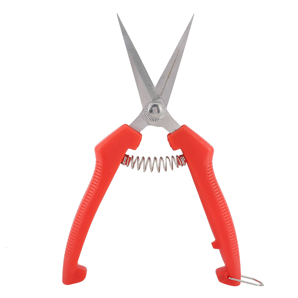 Obstschere Mit Roter Spitze Und Gezahntem Rand / Ausdünnschere Aus Edelstahl / Schere Für Weintrauben, Zitrusfrüchte Und Sichuanpfeffer / Schere Für Obst Und Melonen (18 Cm)