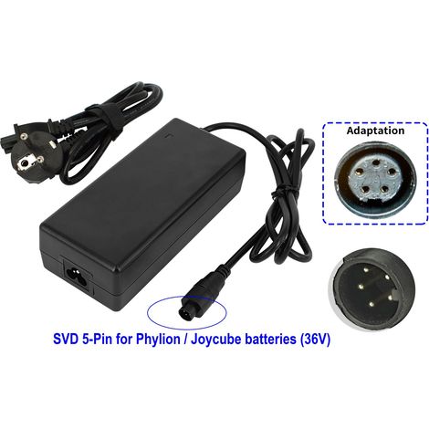 Powersmart 2a Ladegerät Für Phylion Joycube 36v Akkus, Gitane E-classic, E-zumba, Orgel, Organ E-central