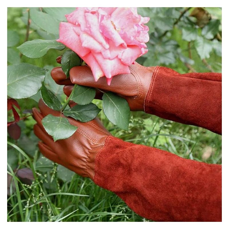 Dornenschutzhandschuhe – Gartenhandschuhe (paar) – Lederschutz – Gartenhandschuhe Für Dornen Und Brombeeren – Braun – Größe L