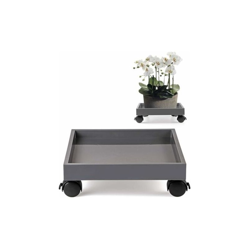Blumenständer Mit Rollen – Tragkraft 50 Kg – Robustes Pp-harz – Lenkrollen Mit Bremsen – 28 Cm Breit