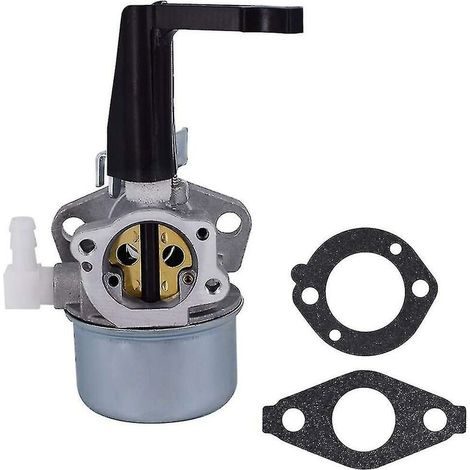Carburateur 696065 697422 Avec Joint Pour Briggs & Stratton 110402