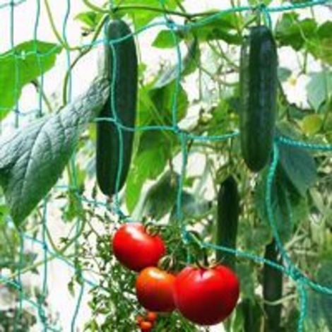Filet À Ramer Maillage Large 1.8 X 2.7 M – Polyéthylène Robuste – Pour Récolte De Concombres, Tomates Et Plantes Grimpantes