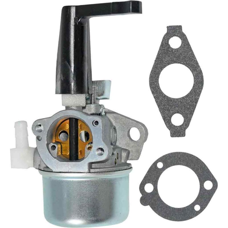Vergaser – Teilenummer 696065, 697422, 110402, 110412, 215369 – Für Intek-motoren, Generatoren Und Pumpen – Ersatzteil – 1 Stück