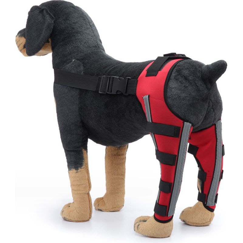 Kniebandage Für Hunde – Verstellbare Doppelhinterbeinbandage Mit Flexiblem Metallgelenk Und Reflektierenden Gurten – Rot