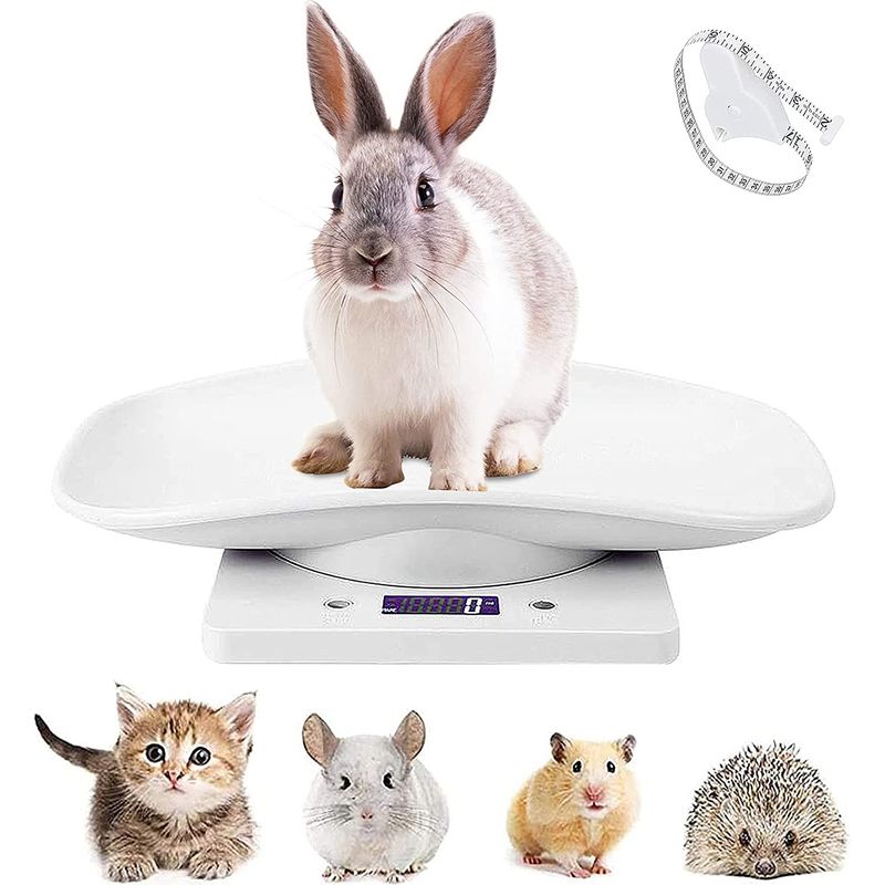 Elektronische Lcd-waage Für Kleintiere – 10 Kg – Hintergrundbeleuchtetes Display – Einheiten G/lb/oz/ml – Für Küche Und Tierpflege – 1 Stück