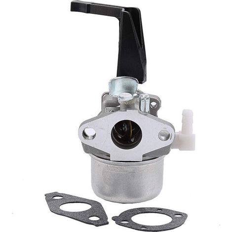 Carburateur 696065 Compatible Avec Briggs & Stratton 696065 697422 110402-0206-e1