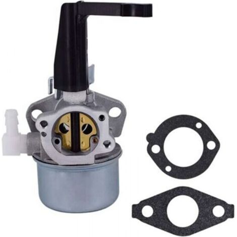 Carburateur Pour Briggs & Stratton 696065 697422 110402 110412 215369 Carburateur De Remplacement De Moteur De Barre Franche