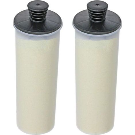 (lot De 2) Cartouche De Filtre Détartrant Compatible Avec Le Nettoyeur Vapeur Karcher Sc3 Sc3mx Easyfix