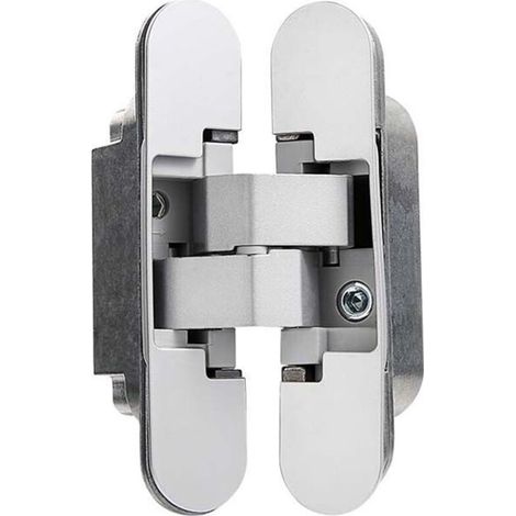 Charnière Invisible Pour Portes Lourdes – Jeu De 2 (charge 40 Kg, Ouverture 180°)