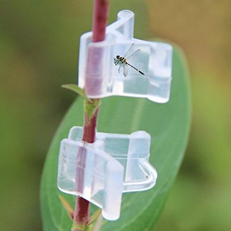 Lot De 100 Clips De Greffage De Plantes Transparents Pour Tomates, Légumes, Tiges De Fleurs (transparents)