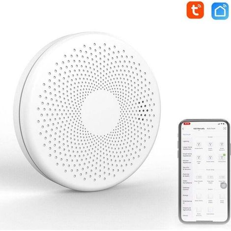 Wifi 2 En 1 Détecteur De Fumée De Monoxyde De Carbone Intelligent Co Détecteur De Son De Gaz Fonction D'Alarme De Lumière Stroboscopique