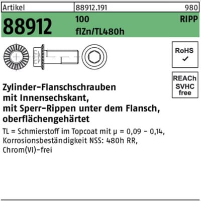 Innensechskantschrauben mit Sperrrippen, Kl. 100 M10 x 25 flZn/nc/TL/x/480h/C