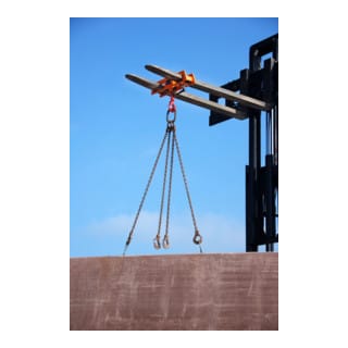 Lasthaken LH-II 5,0 lackiert orange