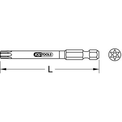 1/4" TORSIONpower Bit Torx, 75mm, TB10, mit Bohrung