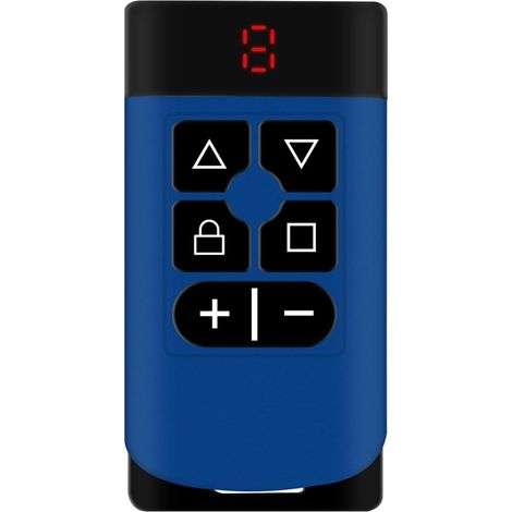 Duplicateur De Télécommande Multicanal Petit Ami Oncle Voisin Épouse