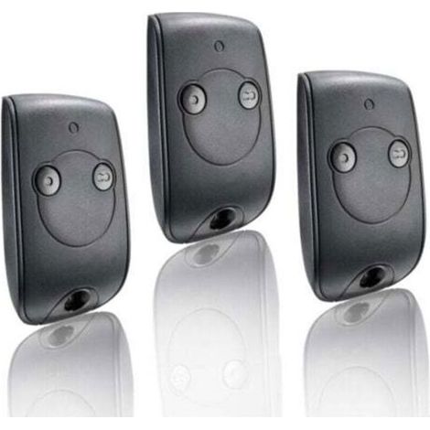 Télécommande 2 Canaux 433,42 Mhz – Compatible Somfy Rts – Pour Portails, Portes Garage – 2 Moteurs