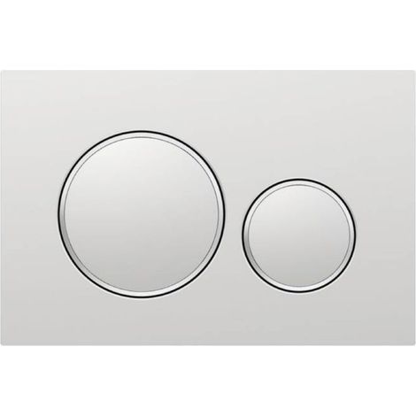 Betätigungsplatte – Für Geberit Sigma20 Wc-becken – Doppelwirkung – Mattchrom Und Poliertes Chrom – 24,6 X 16,4 X 1,2 Cm