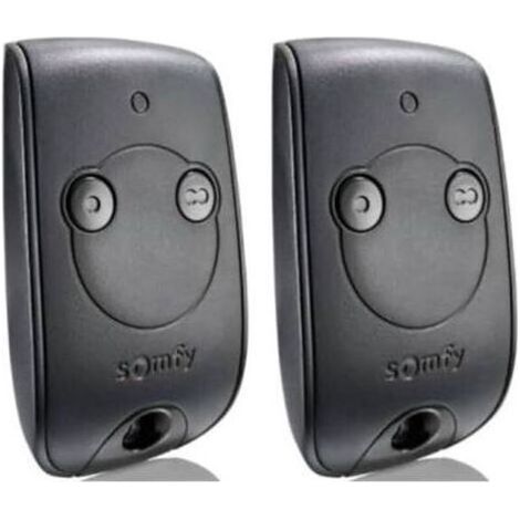 Télécommande Rts 2 Canaux Pour Portails Et Portes De Garage – Lot De 2 Télécommandes Avec Pile Cr2430 Incluse – Contrôle 2 Moteurs Rts