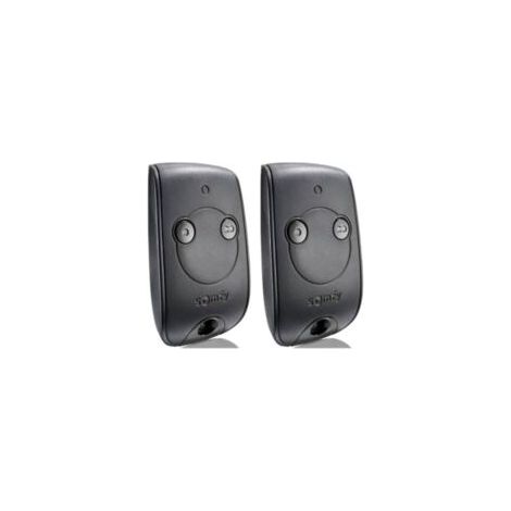 Télécommande Keytis Rts 2 Canaux – Contrôle 2 Moteurs Rts – Compatible Portails Et Portes De Garage – Lot De 2