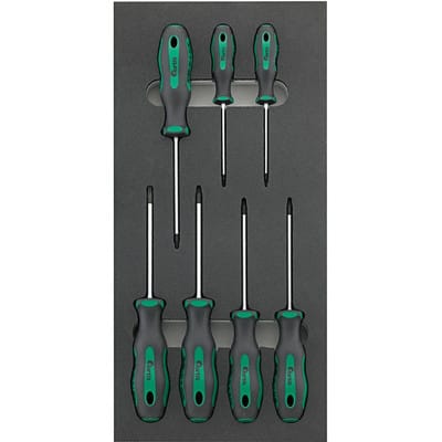 Modul 1/3 Schraubendreher für Torx