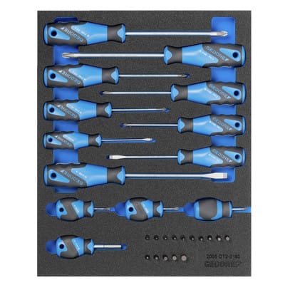 2005 CT2-2160 Schraubendreher-Satz in Check-Tool-Modul, 15-teilig