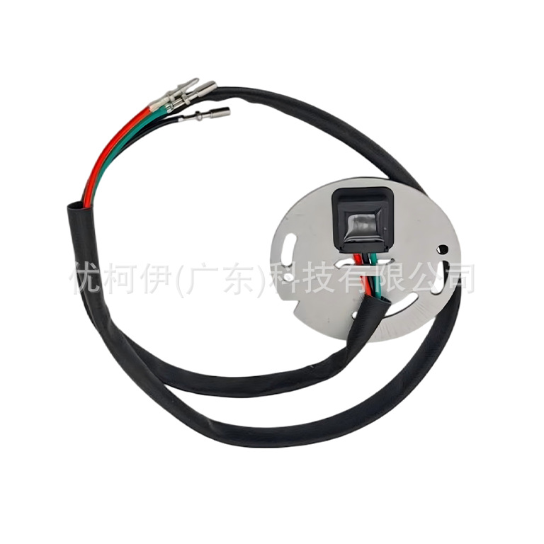 Elektronisches Zündmodul 0807-3019, Kompatibel Mit Harley Sportster Xlh883 / Touring