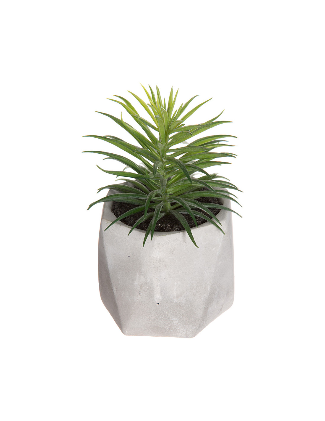Dekorative Pflanze Mit Topf 7x14cm, Assortierte Modelle