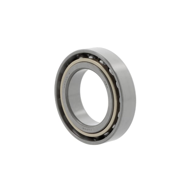 Pendelrollenlager 21313 E1