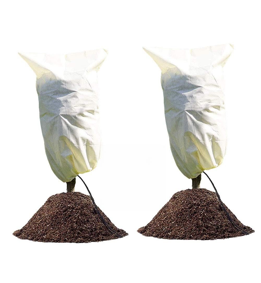 Set Mit 2 Winterschutzhüllen 100 X 80 Cm – Schutzhülle Für Topfpflanzen Gegen Kälte Und Frost (60 G/m²) – Für Olivenbäume, Palmen, Zitronenbäume Und Sträucher
