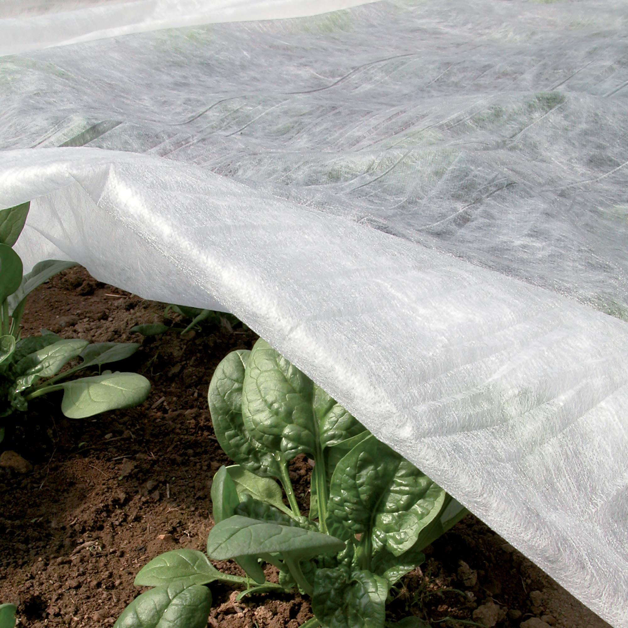 Weißes Wintervlies Für Pflanzen Und Nutzpflanzen (2,4 X 10 M), 30 G/m² Vliesstoff Schützt Pflanzen, Blumen Und Gemüse Vor Kälte, Frost Und Wind.