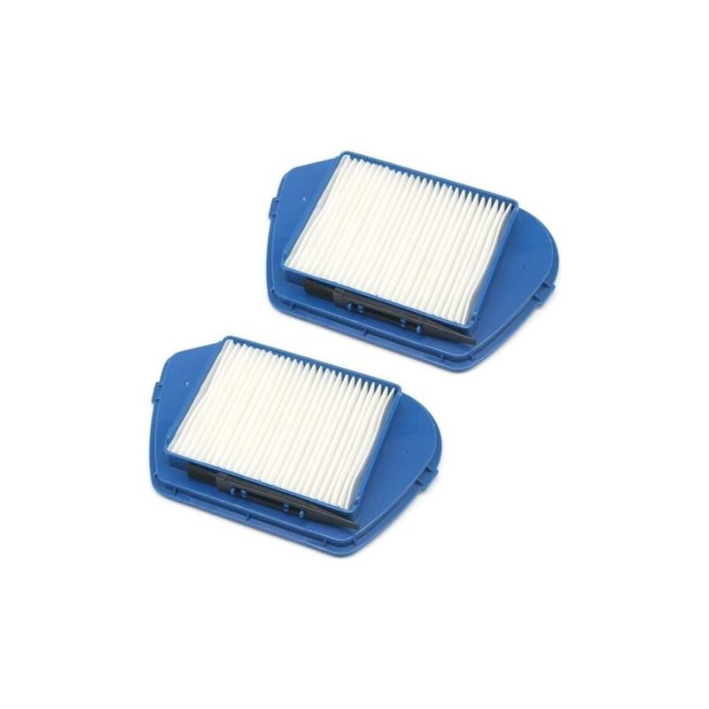 Zweiteiliges Staubsauger-zubehörset Mit Hepa-staubfiltern Für Rowenta Ro53 Compacteo Ergo Cyclone Zr005501 Und Zyklon Zr005501