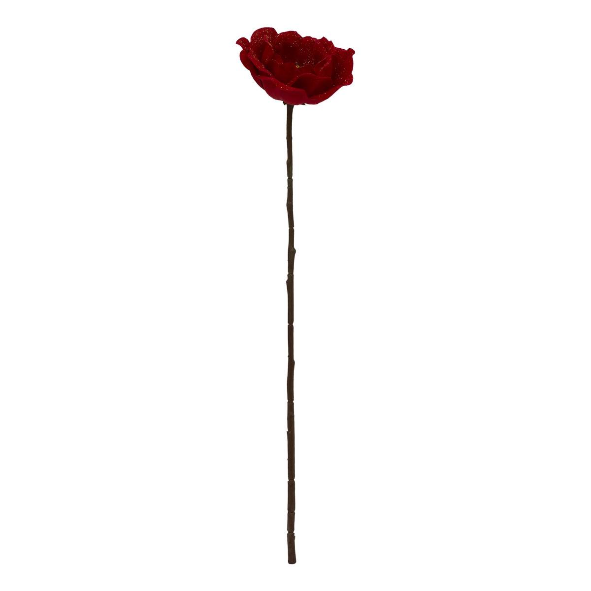 Bch Mohn Rge Blc H70 -