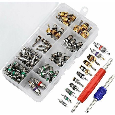 Sonderangebot – 102-teiliges Set Klimaanlagen-ventileinsätze, R134a-ventilschafteinsätze Für Kfz-klimaanlagen Inklusive Ausbauwerkzeug Für Die Reparatur Von Kfz-klimaanlagen, Von Debuns