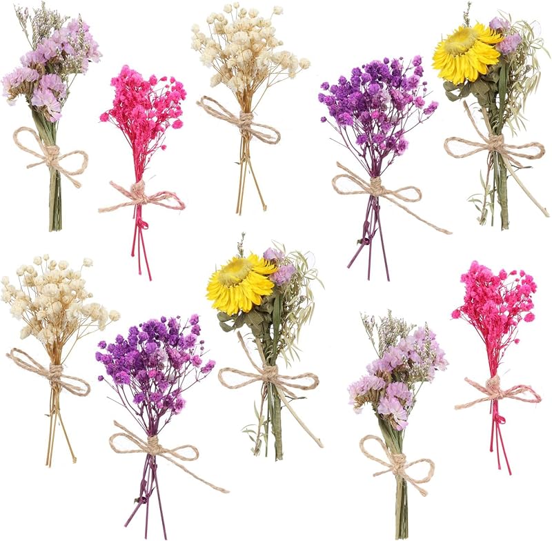 10er-packung 5,5-6 Zoll Mini-trockenblumensträuße, Handgefertigt Mit Juteseil - Trockenblumen Im Boho-stil Für Hochzeitsfeiern, Tischdekorationen, Bastelarbeiten, Geschenkboxen Und