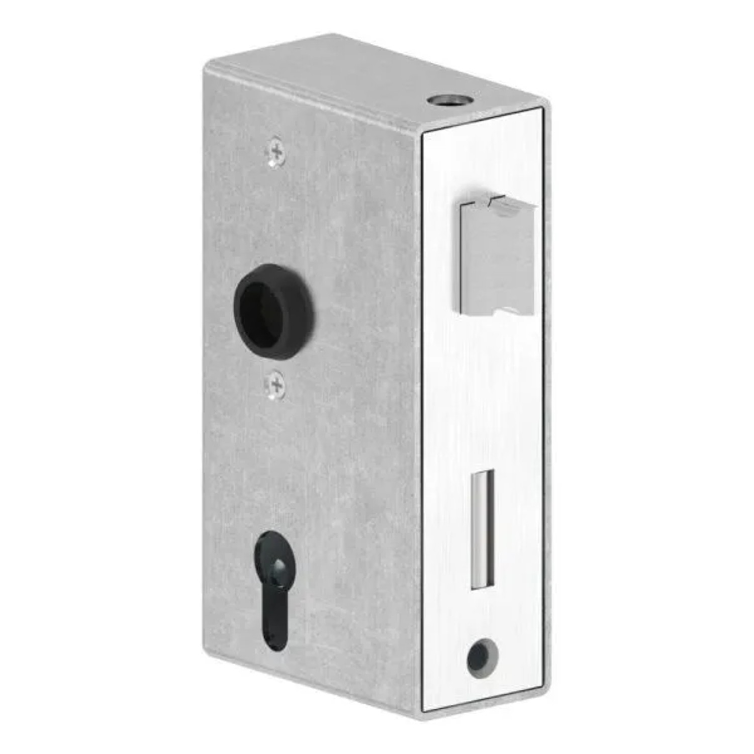 FeNau Anti-Panikschloss Verzinkt 50 X 94 X 172 mm Mit Wechselfunktion E DIN R&L