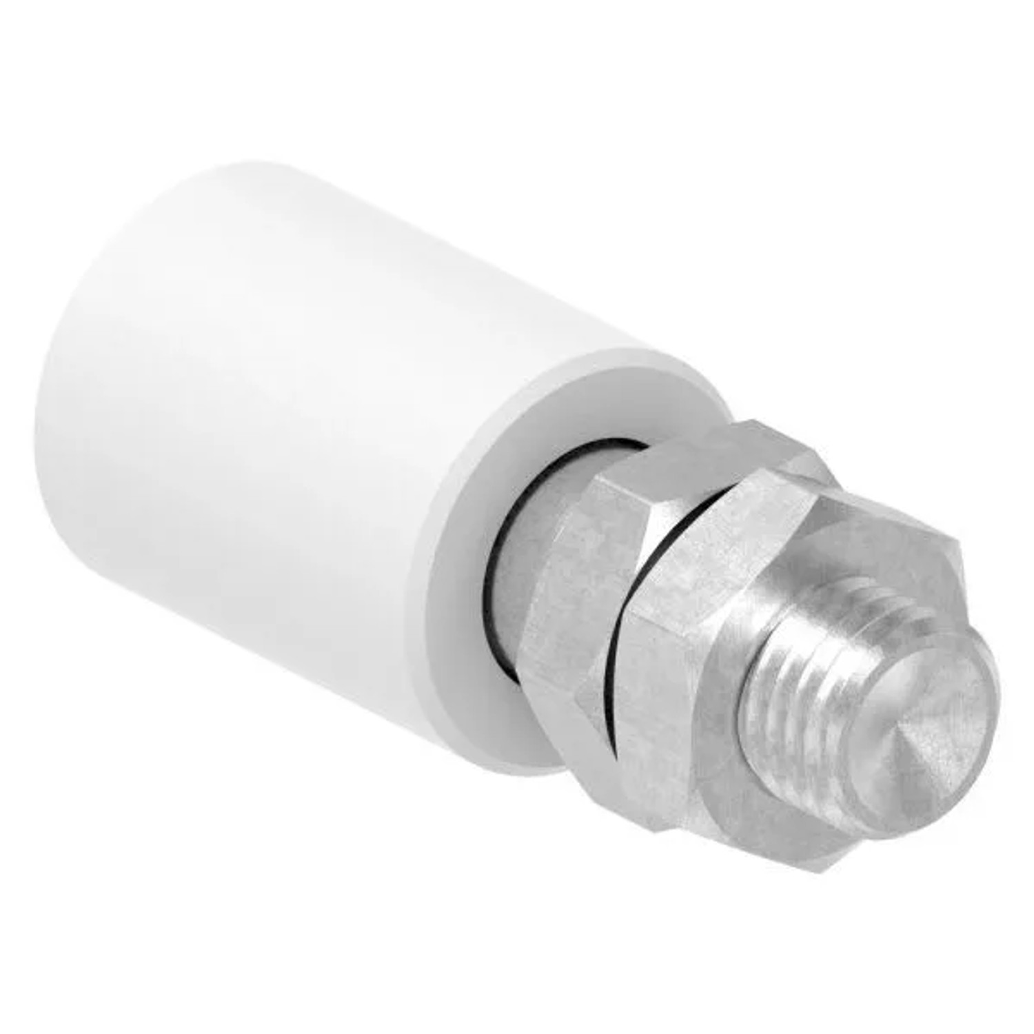 FeNau Führungsrolle Nylon Edelstahl V2A Ø 30 X 40 mm Gewinde M16