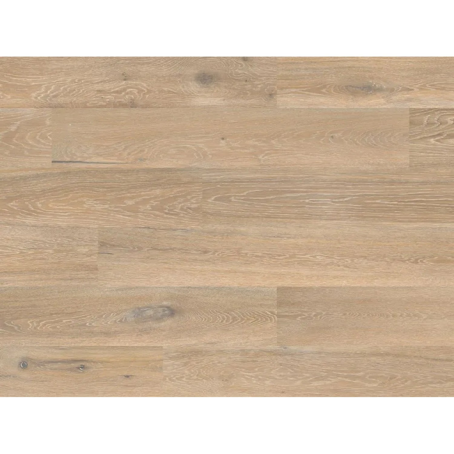 Granorte Korkboden Naturboden DESIGNTrend Eiche Vanilla