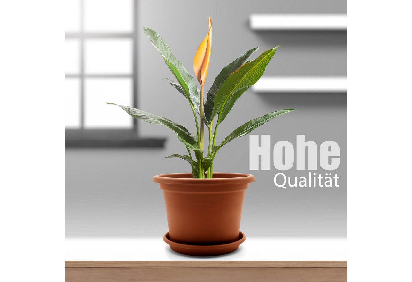 BigDean Blumentopf 4 Stück Pflanzkübel mit Untersetzer rund ø 25 cm Terracotta (Set, 4 St., Pflanztopf), Zeitloses Design, Mit Untersetzer, Hochwertiges Material, Wetterfest Bild 4