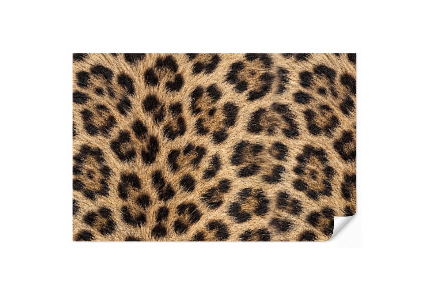 OnlyWow Fototapete Leopard - Mantel - Klassisch - Braun, Matt, bedruckt, Wohnzimmer, Modern, Wanddekoration, Vliestapete 100x70cm Bild 3
