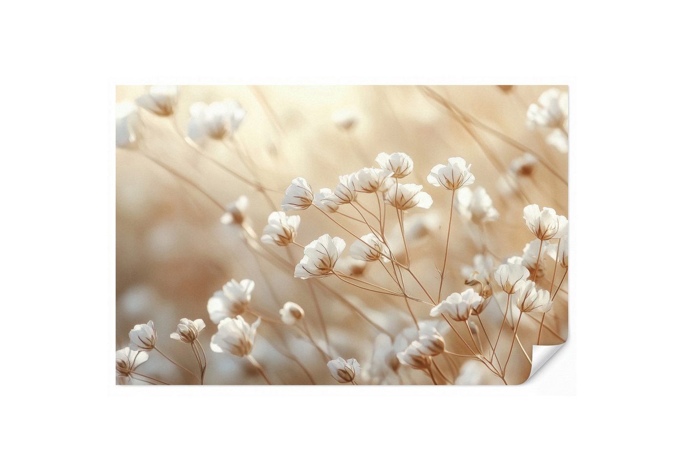 OnlyWow Fototapete Wild - Blumen - Weiß, Matt, bedruckt, Wohnzimmer, Modern, Wanddekoration, Vliestapete 100x70cm Bild 5