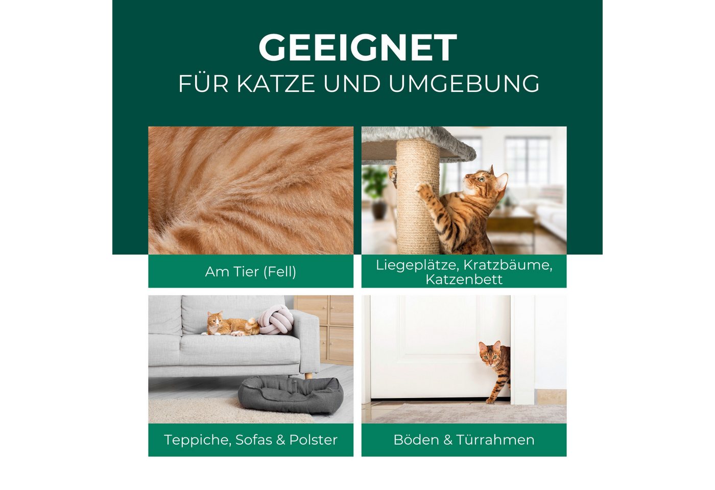 Silberkraft Insektenspray Silberkraft Milbenspray Katzen, gegen Grabmilben & Herbstgrasmilben, 2000 ml, 1-St., Anti-Milben-Mittel für Katzenfell, Schlafplätze und Umgebung