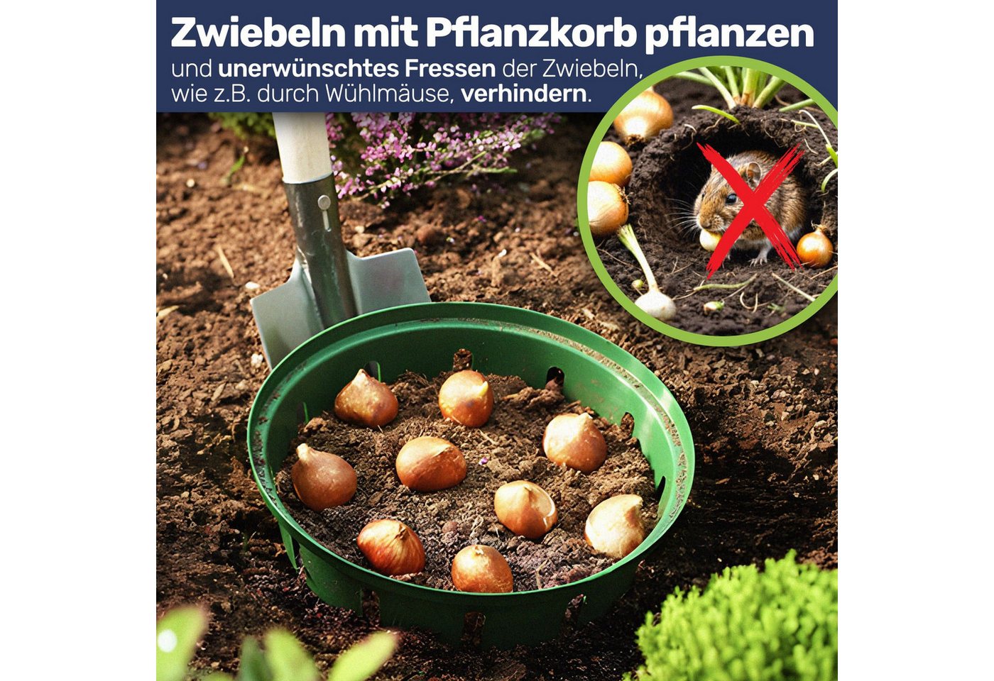 Gravidus Pflanzschale Pflanzkorb Pflanzkörbe für Zwiebelpflanzen Ø22 cm (3 St) Bild 2