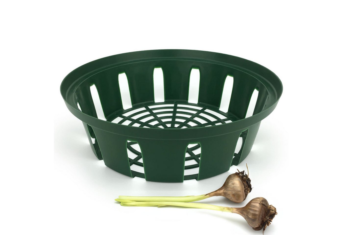 Gravidus Pflanzschale Pflanzkorb Pflanzkörbe für Zwiebelpflanzen Ø22 cm (3 St) Bild 4