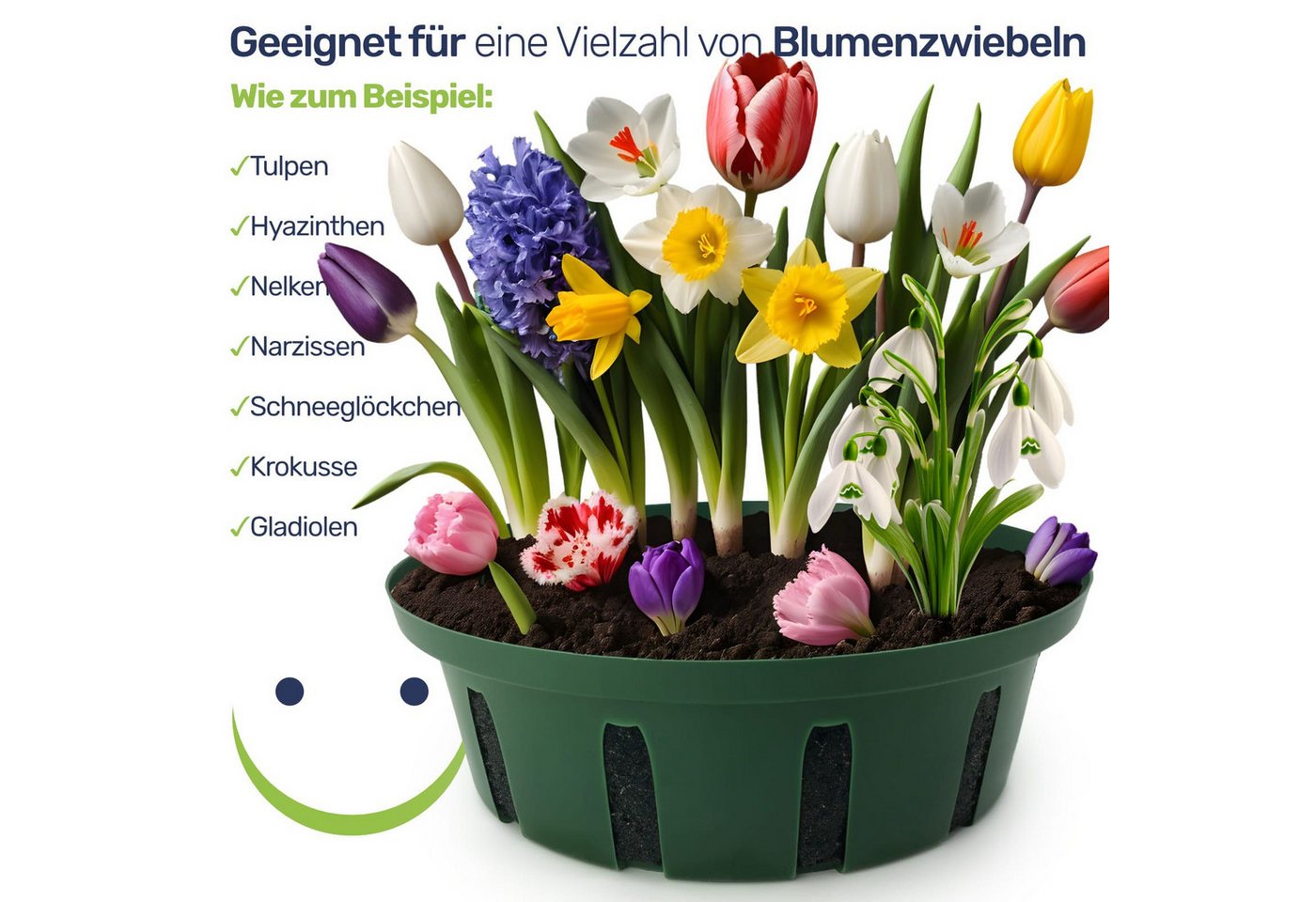 Gravidus Pflanzschale Pflanzkorb Pflanzkörbe für Zwiebelpflanzen Ø22 cm (3 St) Bild 5