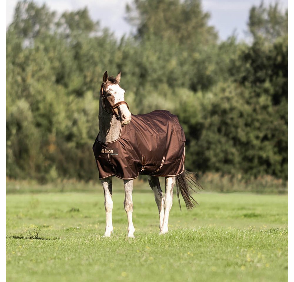 Bucas Pferde-Thermodecke Bucas Irish Turnout Medium 150g + Neck Set
