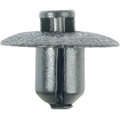 Push-Type-Verbindungsclip für Toyota/Lexus,10er Pack 420.1770