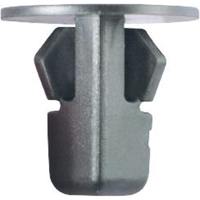 Rundmutter-Clip für Toyota,50er Pack 420.5754