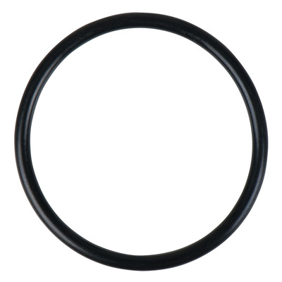 O-Ring 515.5410-R029P