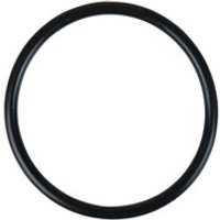 O-Ring 515.5410-R029P Bild 2