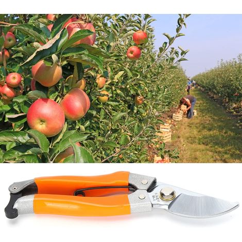 Gartenschere, Astschere, Handschere, Preiswerte Pflanzenschere, 64 Mm Öffnung, 20 Mm Schnittdurchmesser Zum Schneiden Von Blühenden Baumzweigen